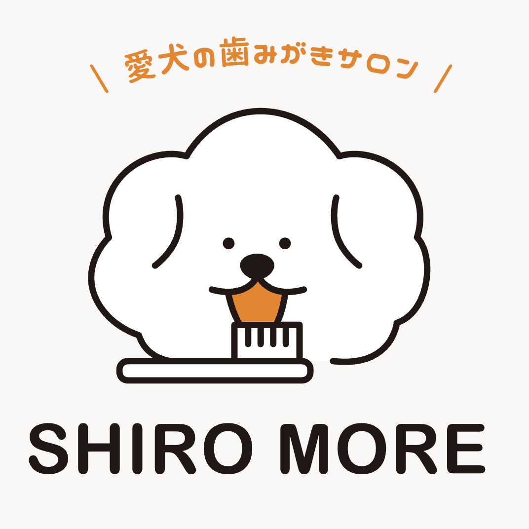 SHIRO MORE